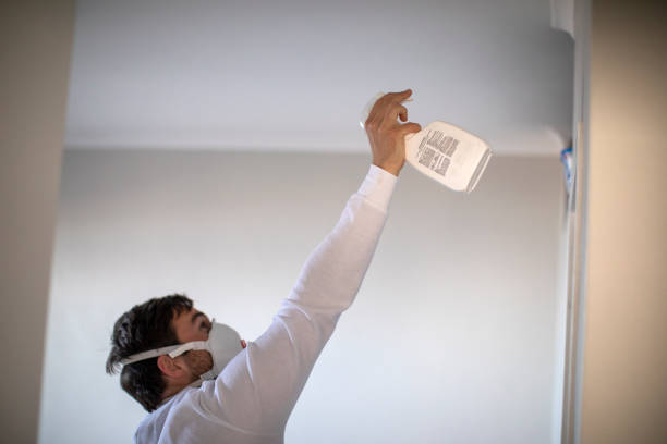 Best Office Mold Removal Services  in West Leechburg, PA