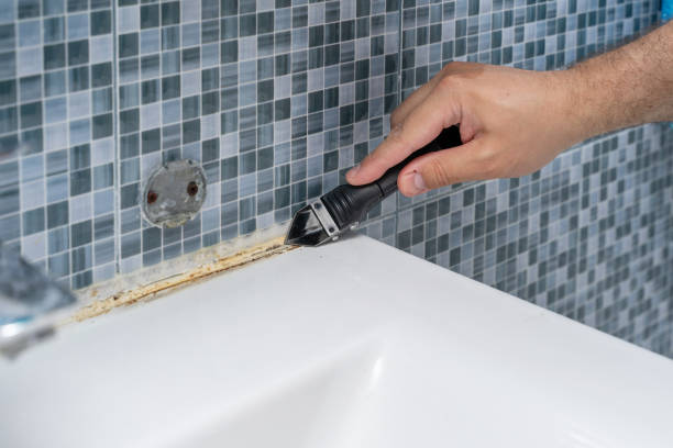 Best Attic Mold Removal  in West Leechburg, PA