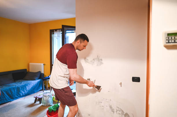 Best Professional Mold Removal  in West Leechburg, PA